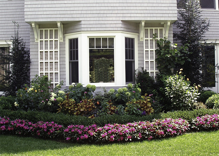 Mixed flora border photo