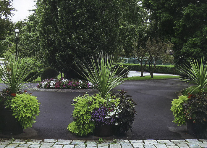 container planting