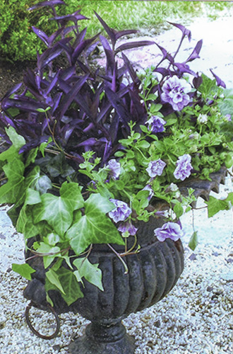 container planting
