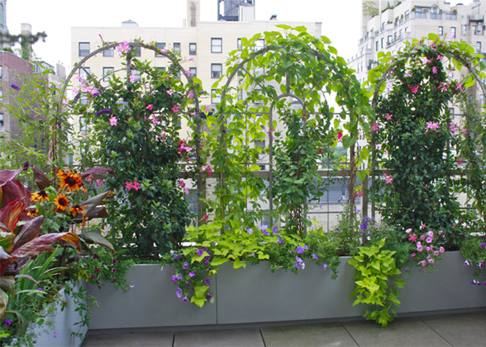 terrace photo