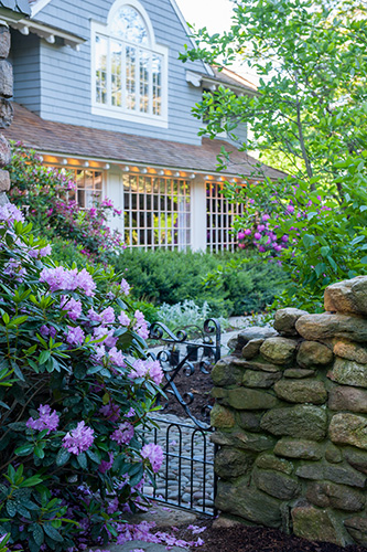 garden photo