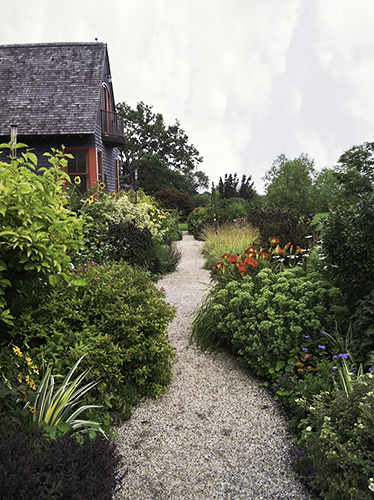 Mixed flora border photo