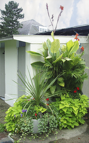 container planting