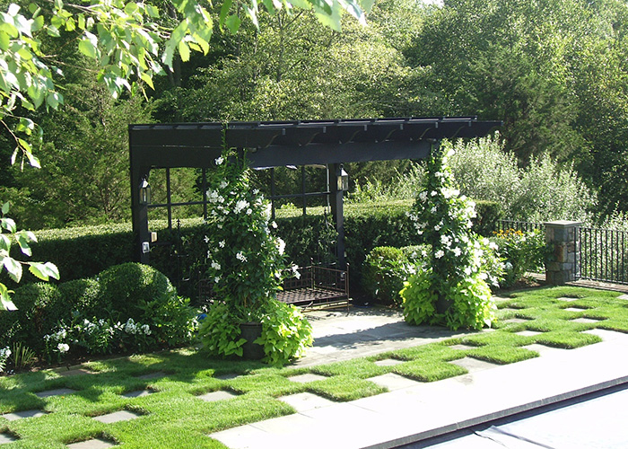 container planting