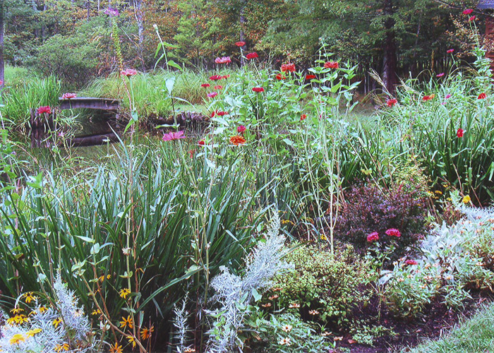 Mixed flora border photo