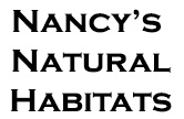 title font