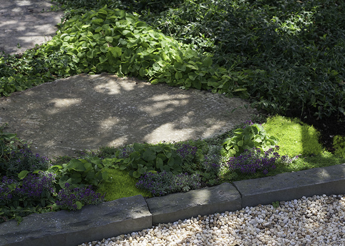Mixed flora border photo