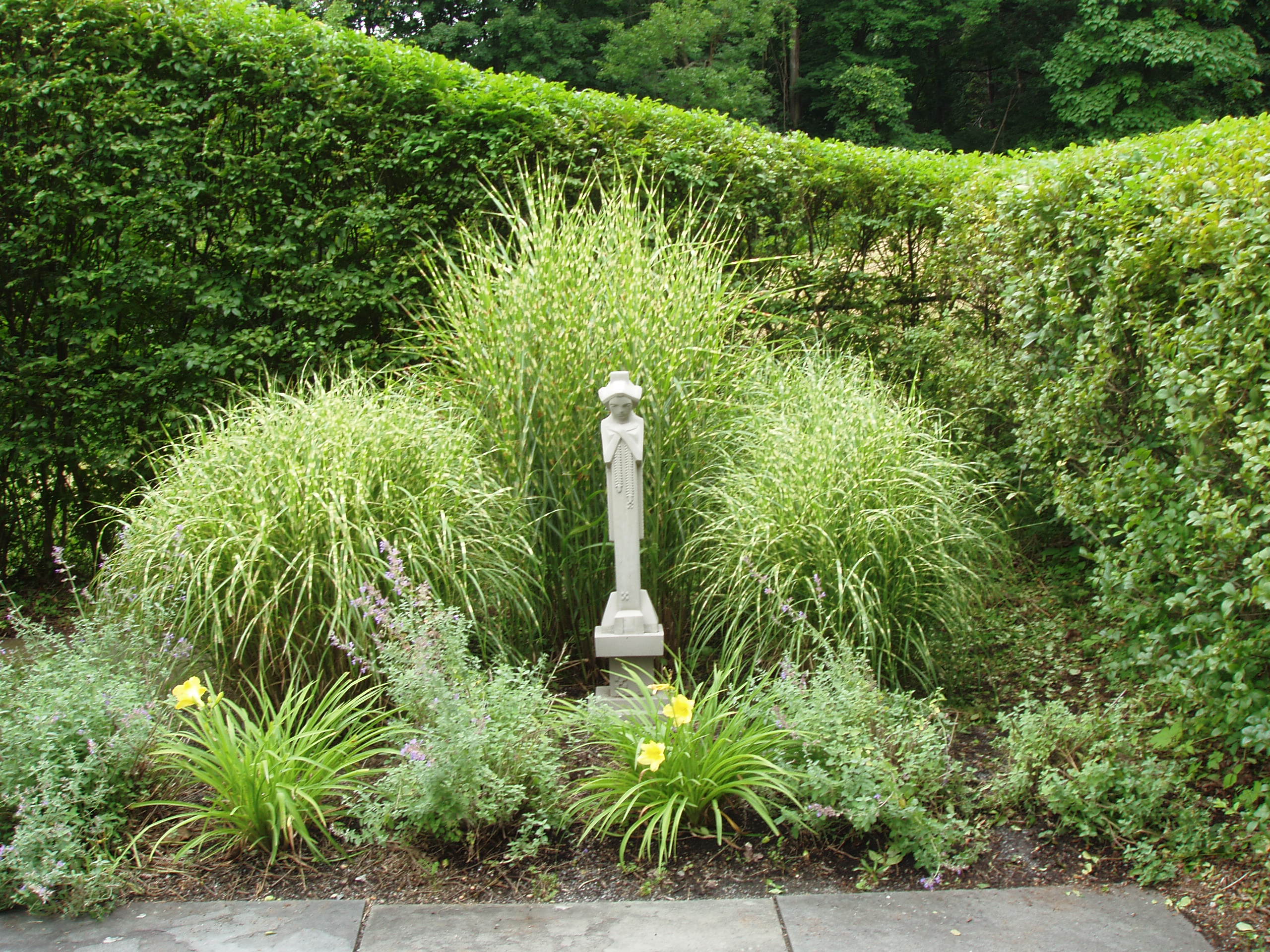 Landscape photo